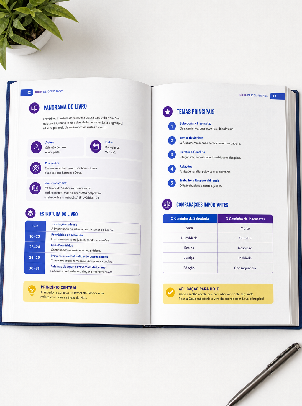 Bíblia Descomplicada: material didático em livro impresso com conteúdo simples e fácil de consultar